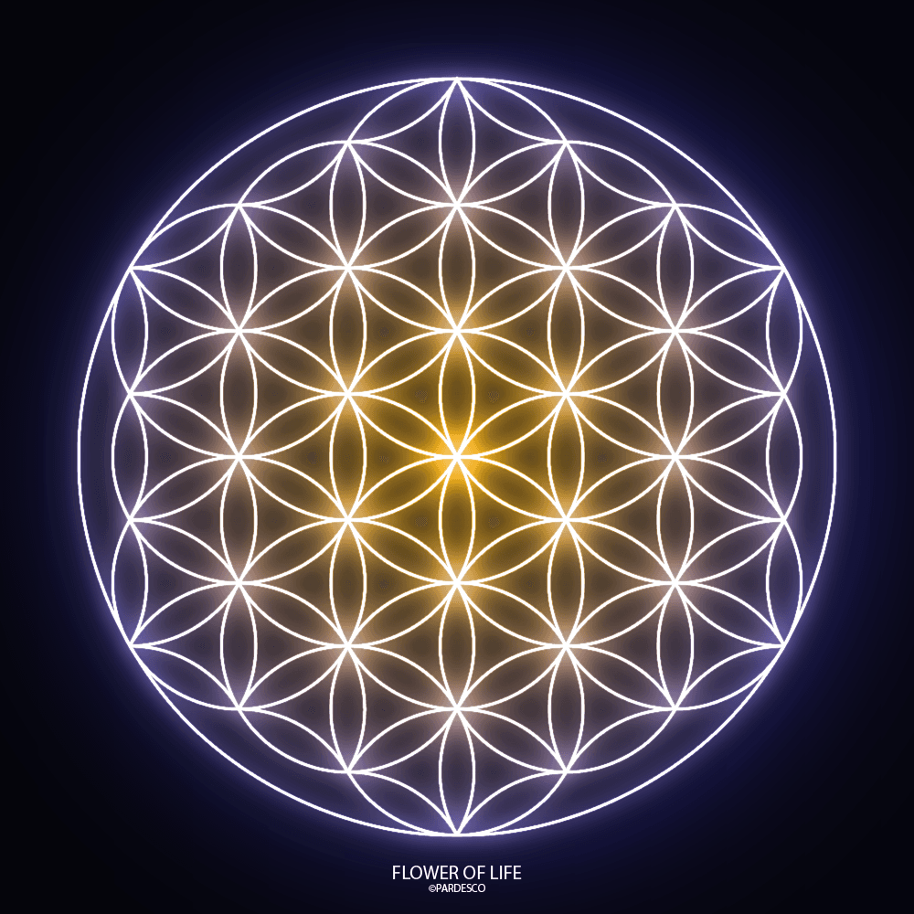FLOWER OF LIFE SYMBOL