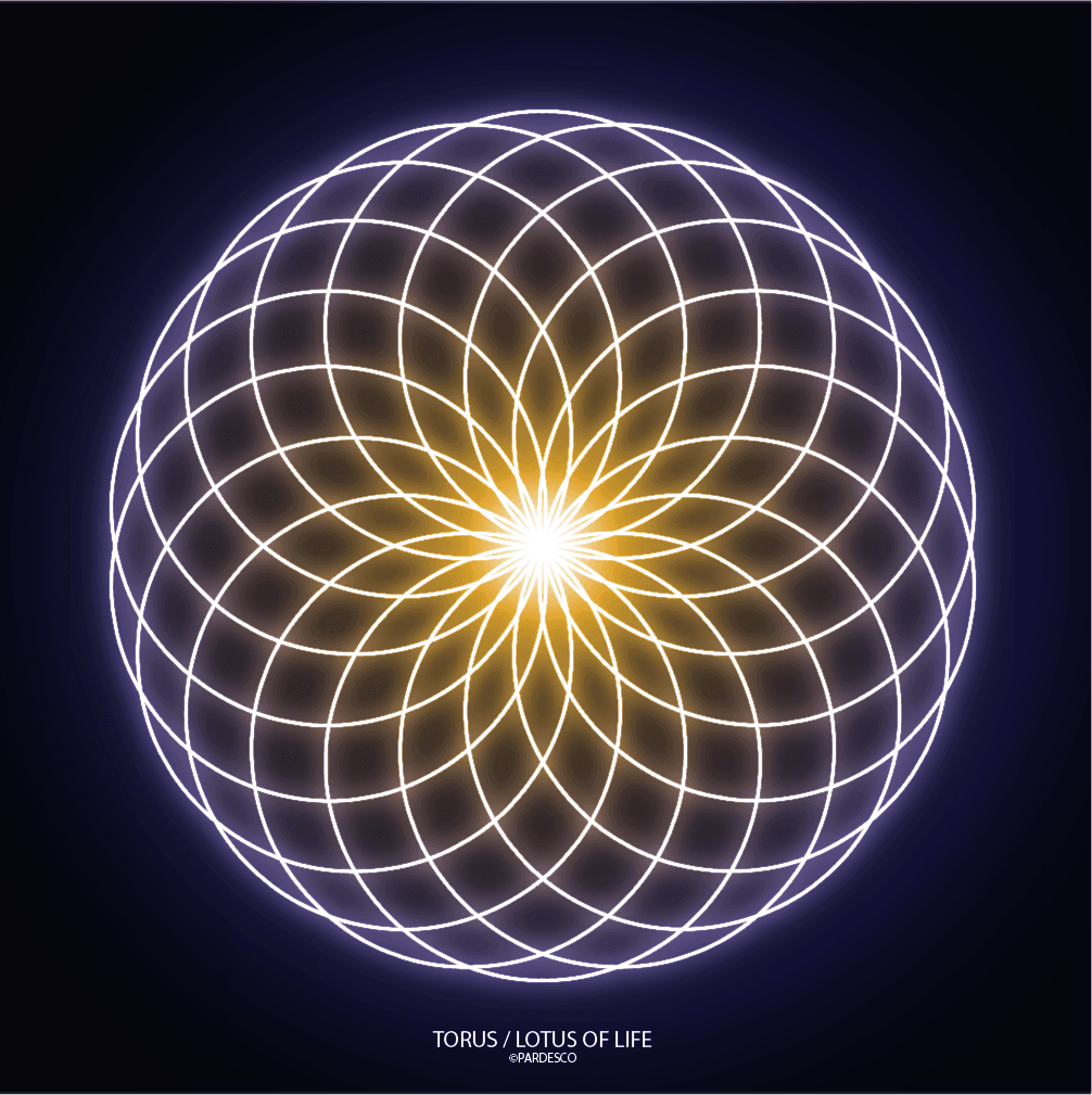 TORUS LOTUS OF LIFE SYMBOL