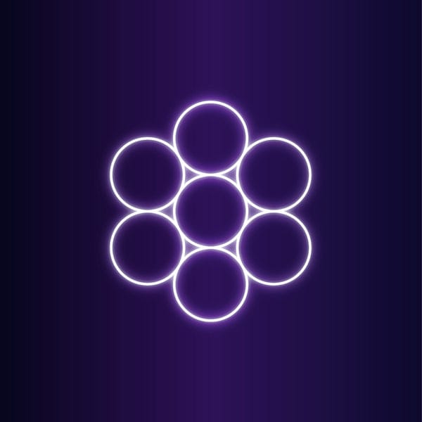 Egg of Life sacred geometry symbol showing eight spheres arranged in cubic structure representing embryonic development