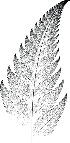 Fern leaf showing perfect fractal self-similarity with each frond mirroring the whole
