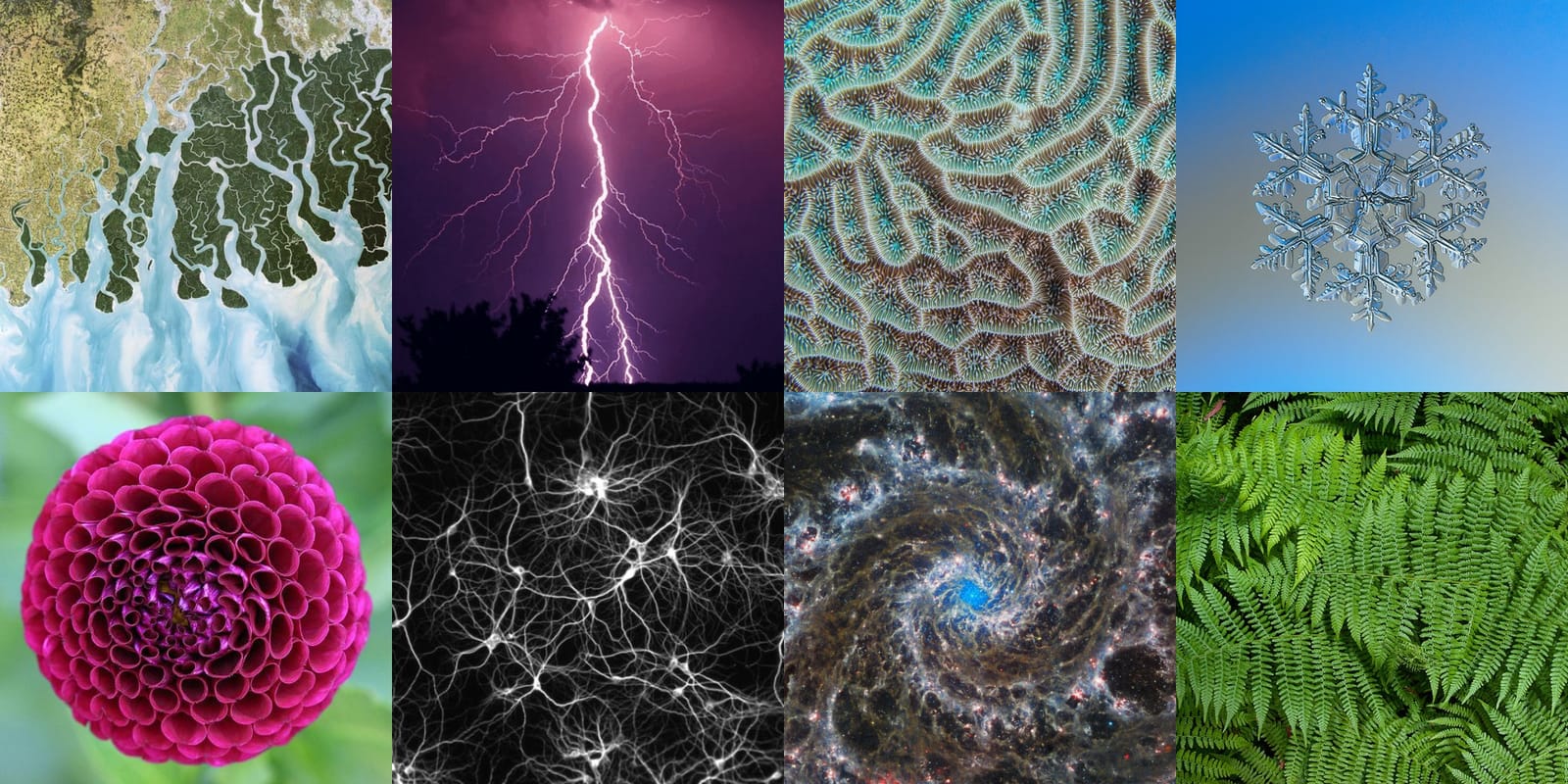Fractal Geometry: The Complete Guide to Nature's Hidden Mathematical Language