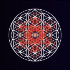Metatron's Cube emerging from Flower of Life pattern