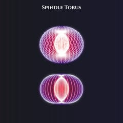 Spindle Torus - Self-intersecting creative tension